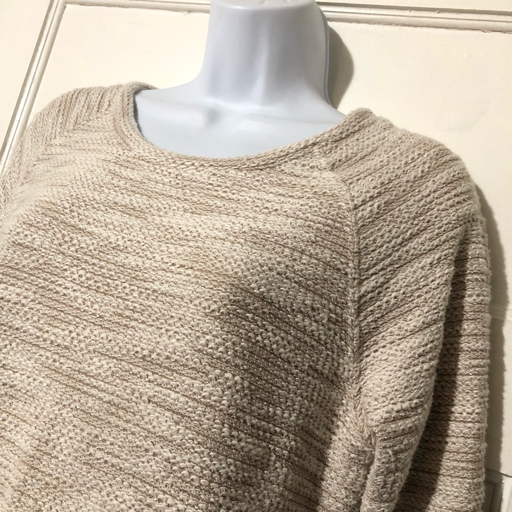 Anthropologie Saturday Sunday Metallic Sweater